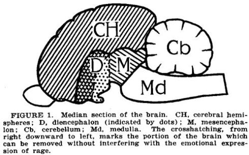 1928_figure1 1928_figure1